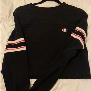 Champion Sweater
